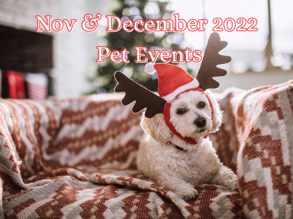 November & December 2022 Pet Events and Expos